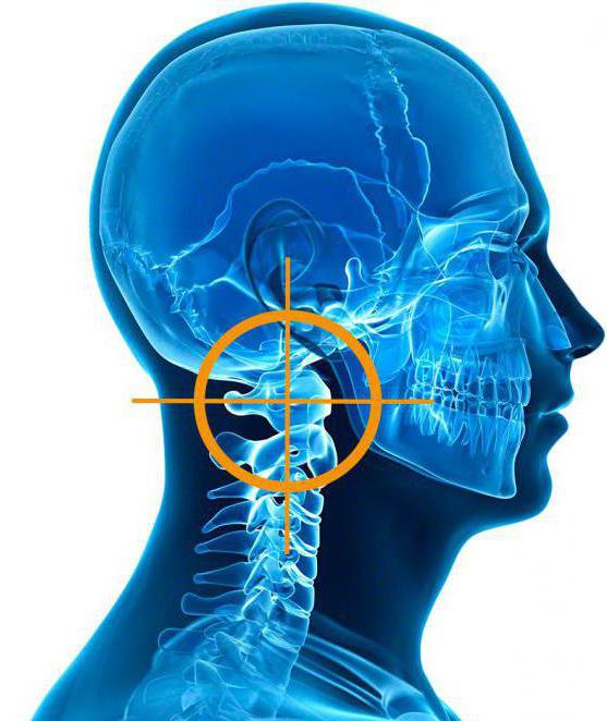 первый шейный позвонок