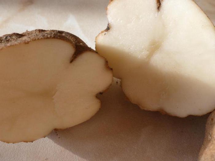 вредители картофеля киви