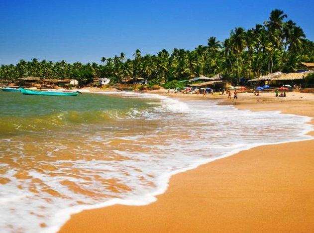 alidia beach resort 3 гоа