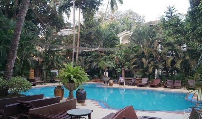 alidia beach resort 3 гоа отзывы