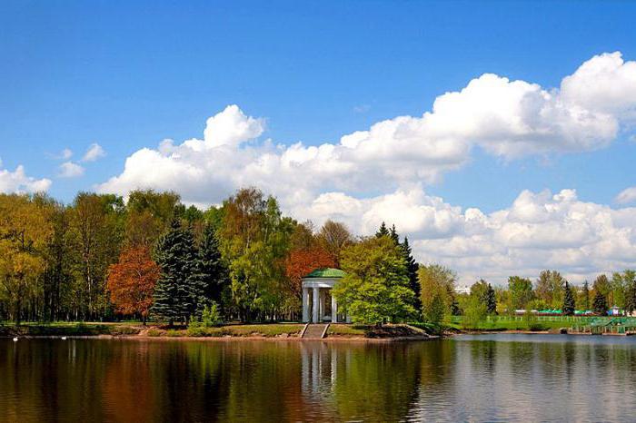 диво остров в санкт петербурге