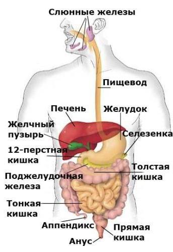 антиген раковый са 19 9