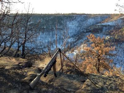 баллистическая траектория пули