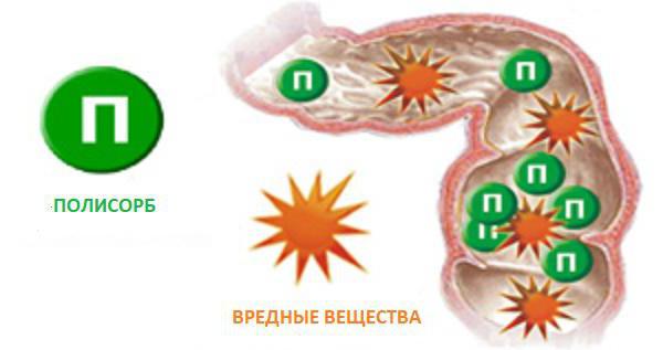 полисорб при аллергии