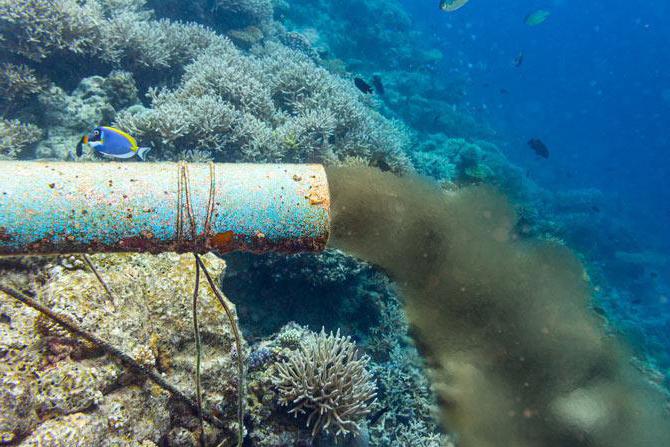 Ресурсы Японского моря и экологические проблемы