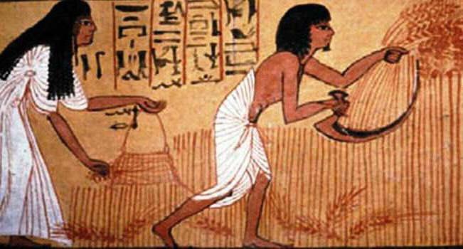 социально политическая структура древнего египта 