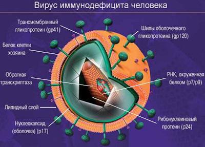 борьба со спидом