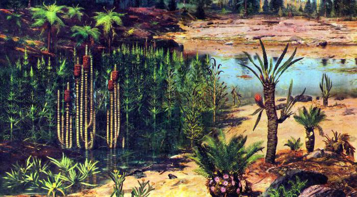 какие растения самые древние на земле