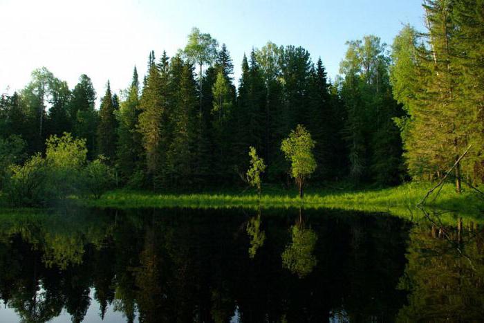 юганский заповедник