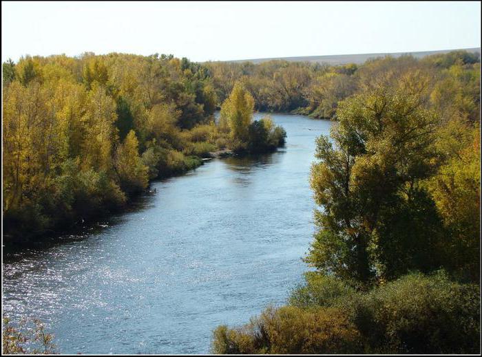 Урал впадает в Каспийское море 