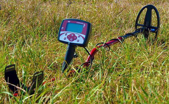 minelab x terra 305 dd