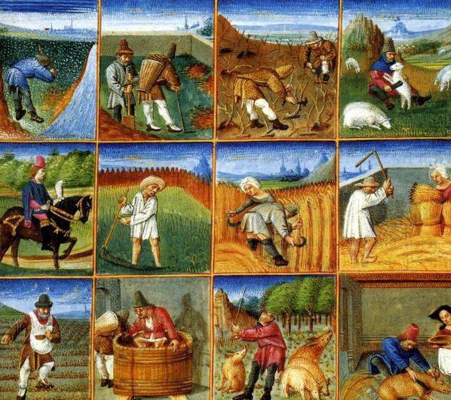 чем занимались крестьяне в средние века