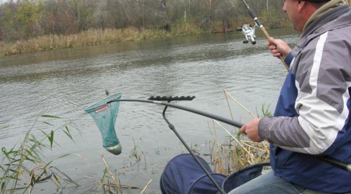 Рыбалка в Белгороде