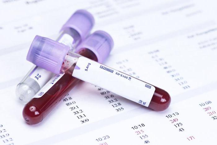 Буквенное обозначение лейкоцитов в анализе крови