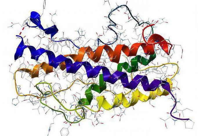 nordex somatropin