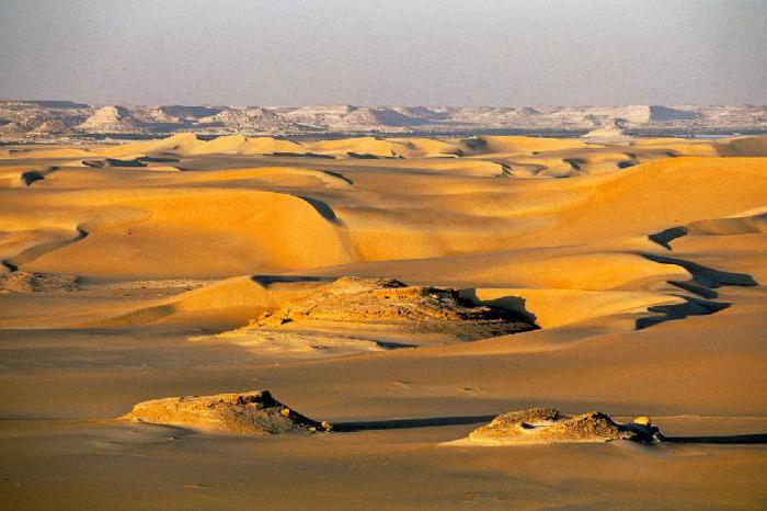 в каком климатическом поясе находится ливийская пустыня 