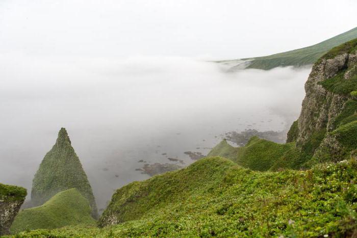 Курильский заповедник