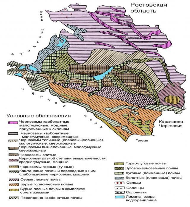 климат краснодарского края