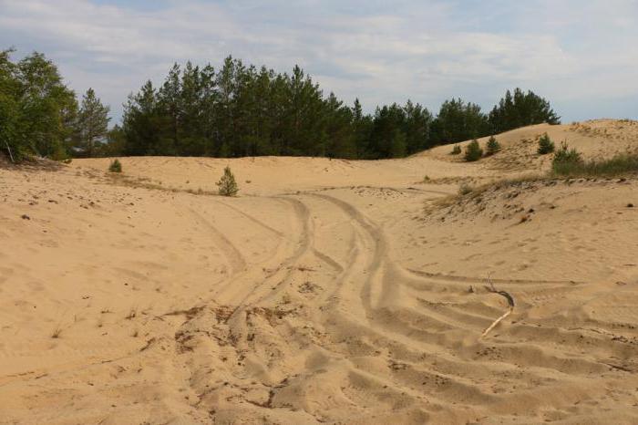 разнообразие природы воронежского края воронежской области