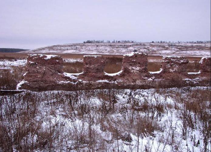 разнообразие природы родного края воронежской области 