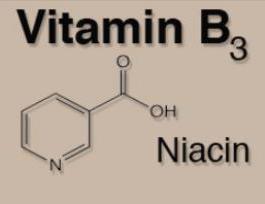 Витамин В3, или ниацин: что это такое, применение и полезные свойства