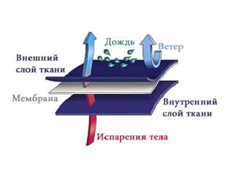 мембранная ткань что это такое