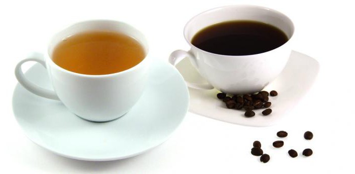 что полезнее пить чай или кофе
