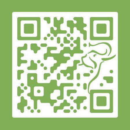 Создать QR-код