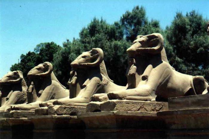 тайны египетского сфинкса