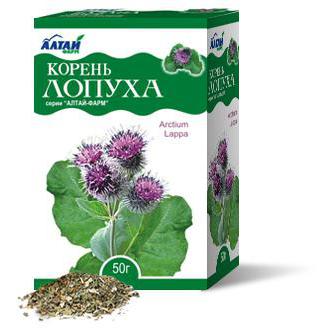 корень лопуха инструкция