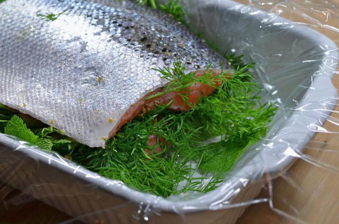 как вкусно засолить лосось в домашних условиях 