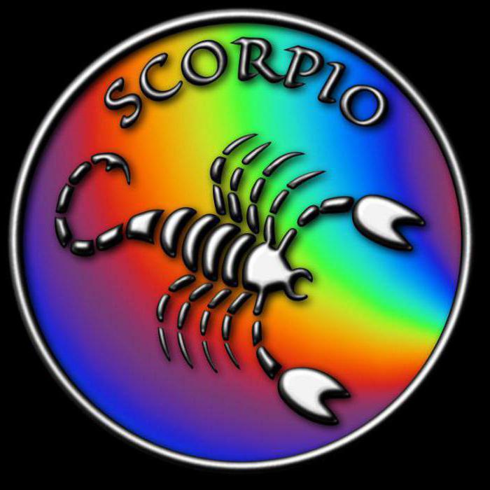 19 ноября скорпион