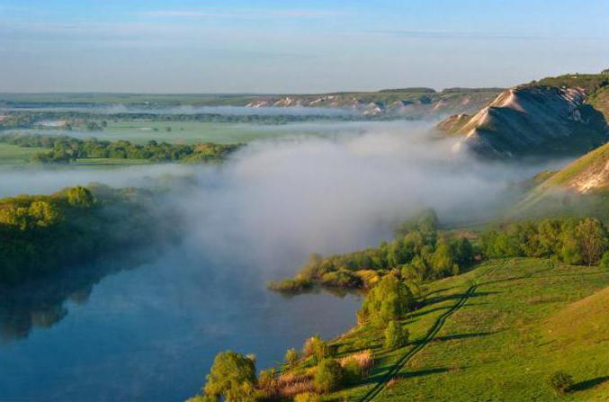 исток реки дон где находится фото