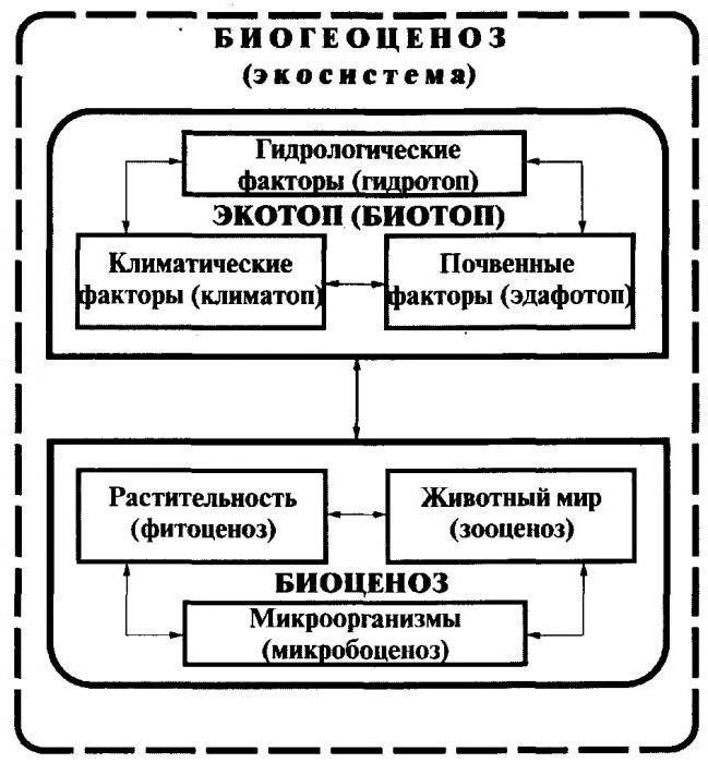 нейтрализм примеры животных