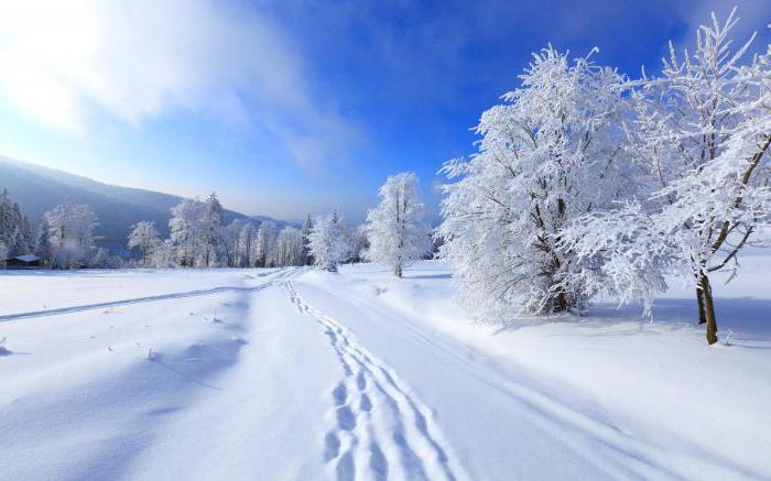 7 февраля праздник 