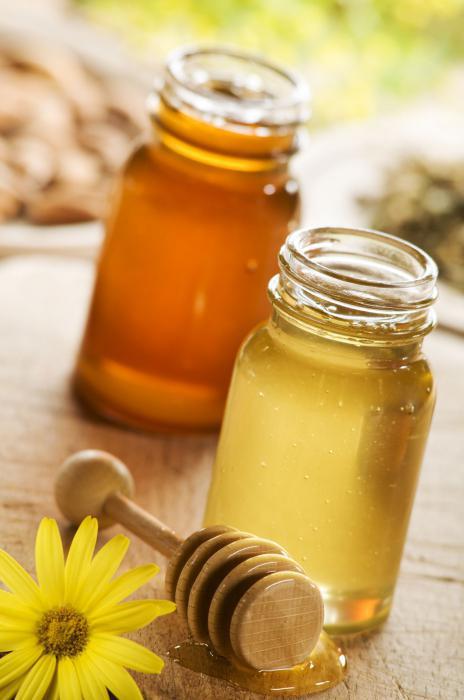 имбирь мед лимон рецепт для иммунитета отзывы