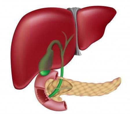 хронический билиарнозависимый панкреатит 