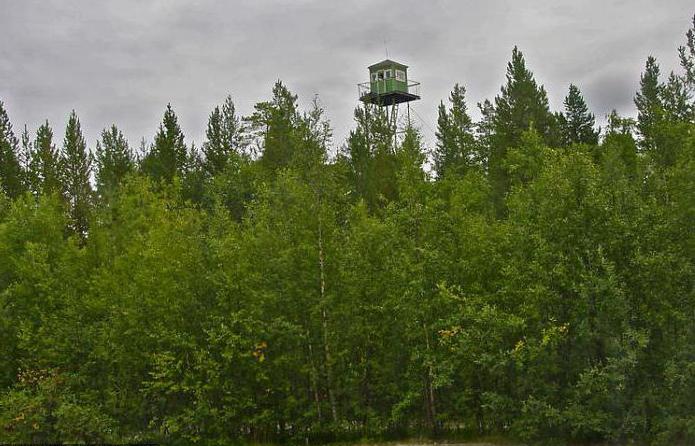 заповедник пасвик pasvik zapovednik