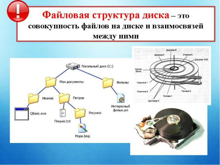 Что такое файловая структура компьютера ответ