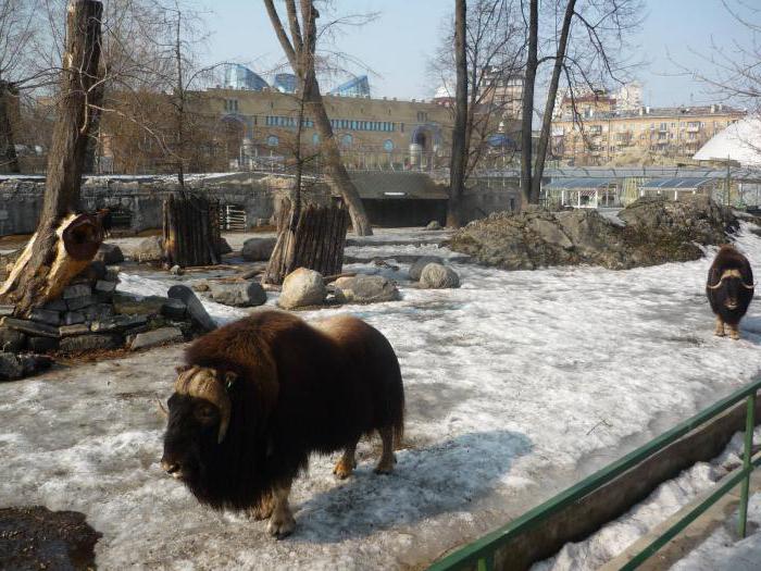 что делать в выходные в москве одному