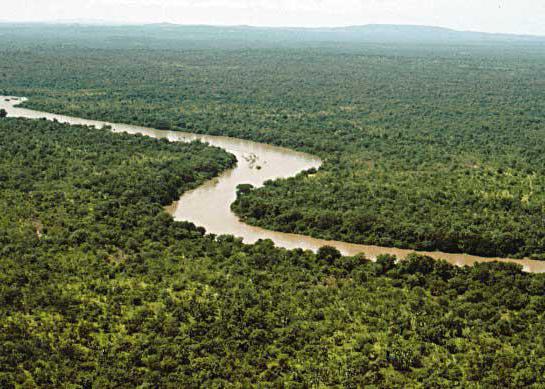 Гамбия река