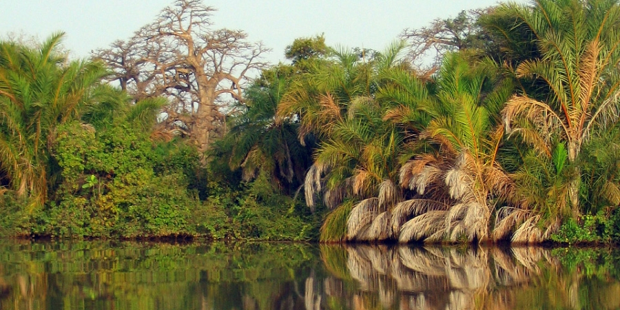 Фото реки Гамбия