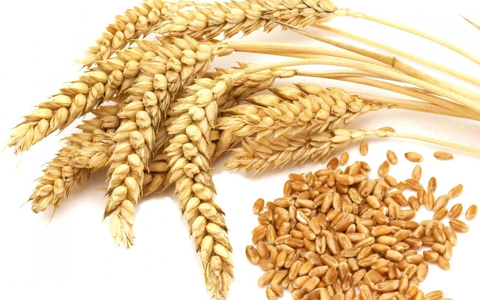 Как варить кутью из пшеницы