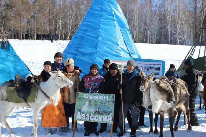 Высотная поясность природная