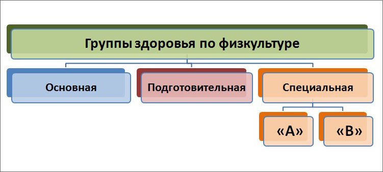 Группы по физкультуре