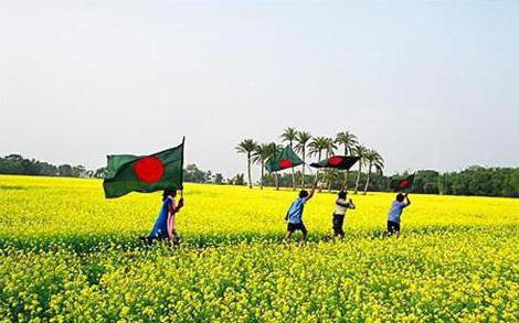Флаг государства Бангладеш