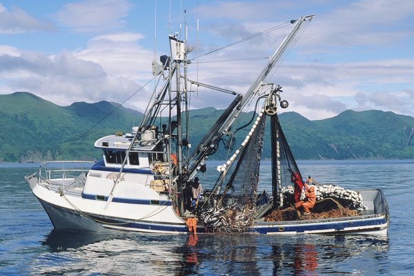 Проблемы экологии Азовского моря