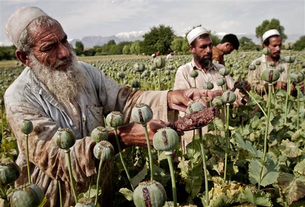 Афганистан ввп на душу населения
