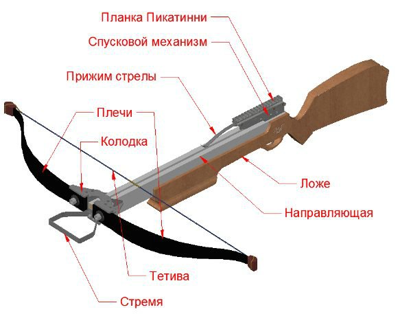 устройство арбалета