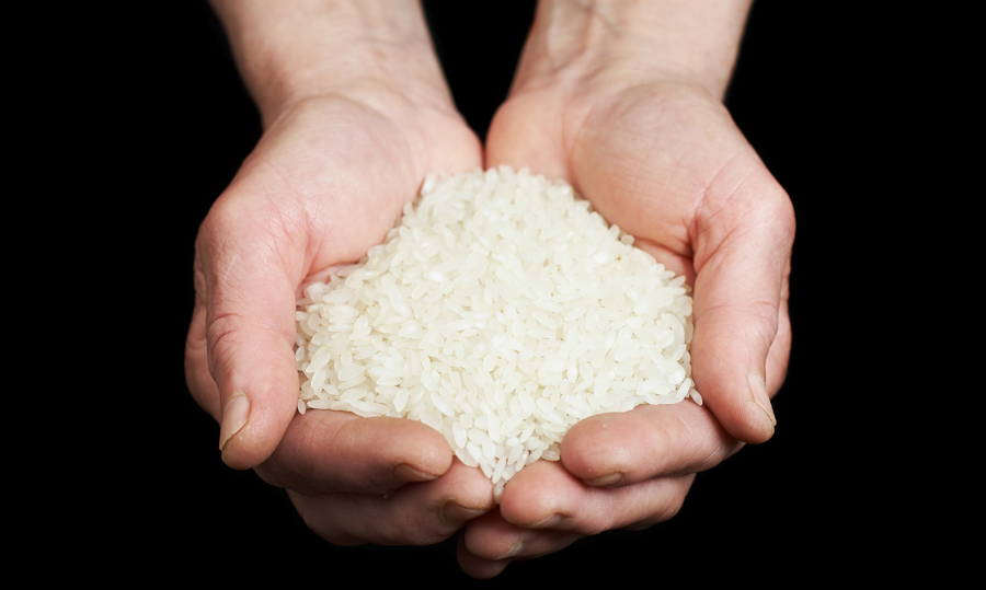Рис в руке